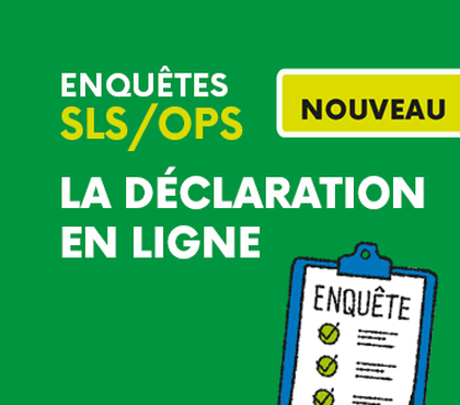 Enquêtes SLS/OPS : Nouvelle campagne 2024